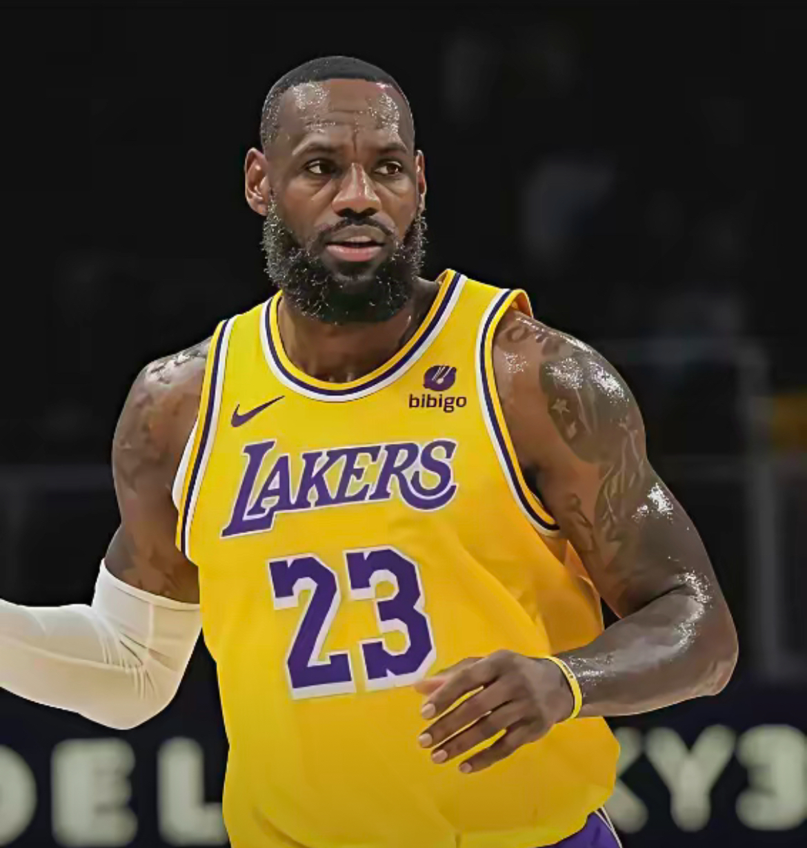 开云体育-詹姆斯新星赛事规则更新表现惊艳,G2未来可期!的简单介绍